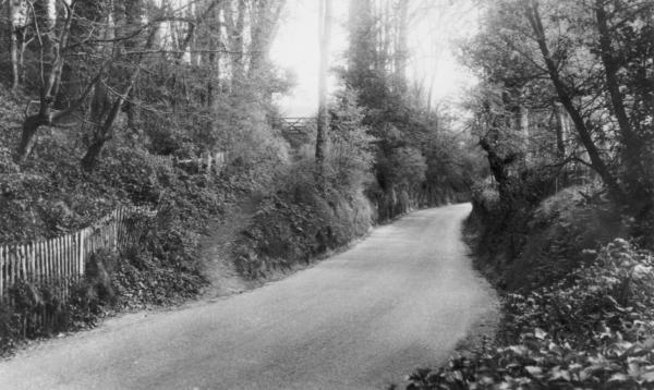 Image number 1114&prevurl=coopershillroad