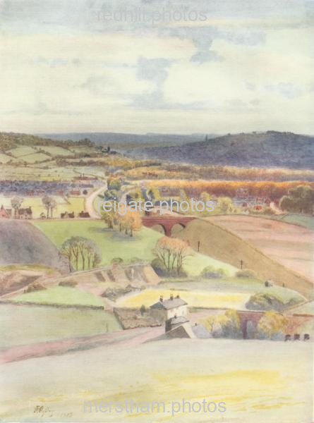Image number 13