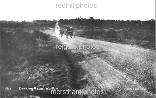 Image number 1407&prevurl=dorkingroad