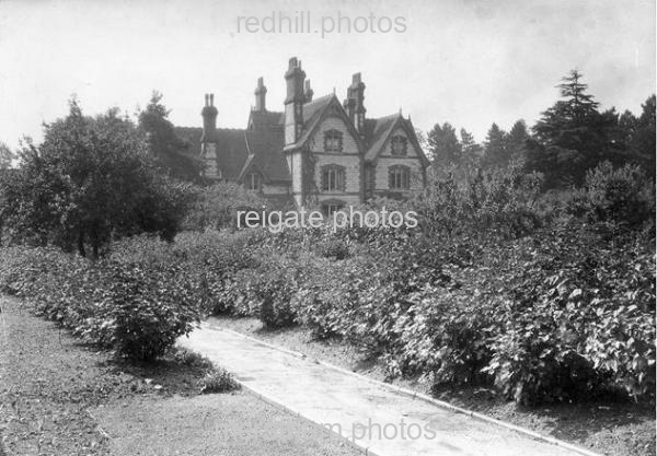 Image number 1796&prevurl=fonthill2