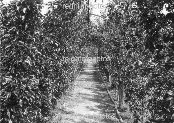 Image number 1799&prevurl=fonthill2