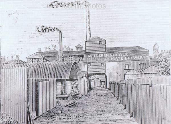 Image number 2987&prevurl=mellershandneale