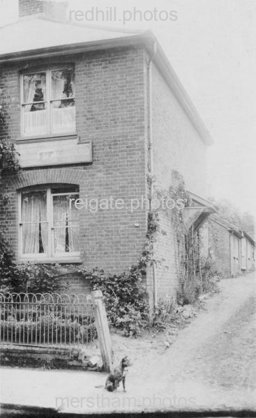 Image number 3734&prevurl=prioryroad