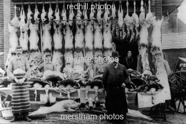 Image number 5061&prevurl=somersetroad