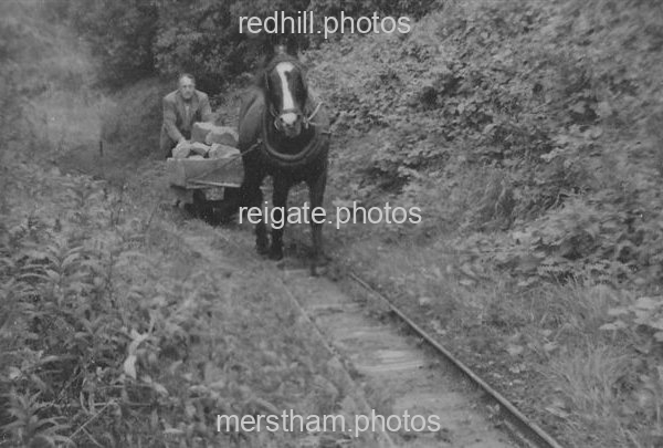 Image number 5510&prevurl=theclears