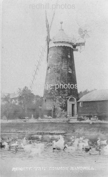 Image number 5894&prevurl=wraycommon