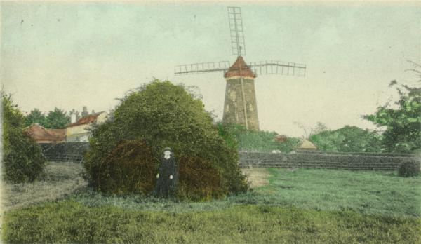 Image number 5899&prevurl=wraycommon