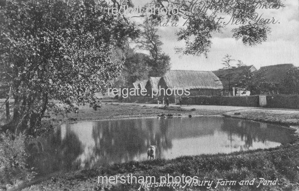 Image number 6337&prevurl=bletchingleyroad