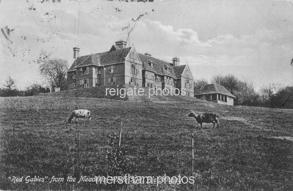 Image number 6512&prevurl=allcomments