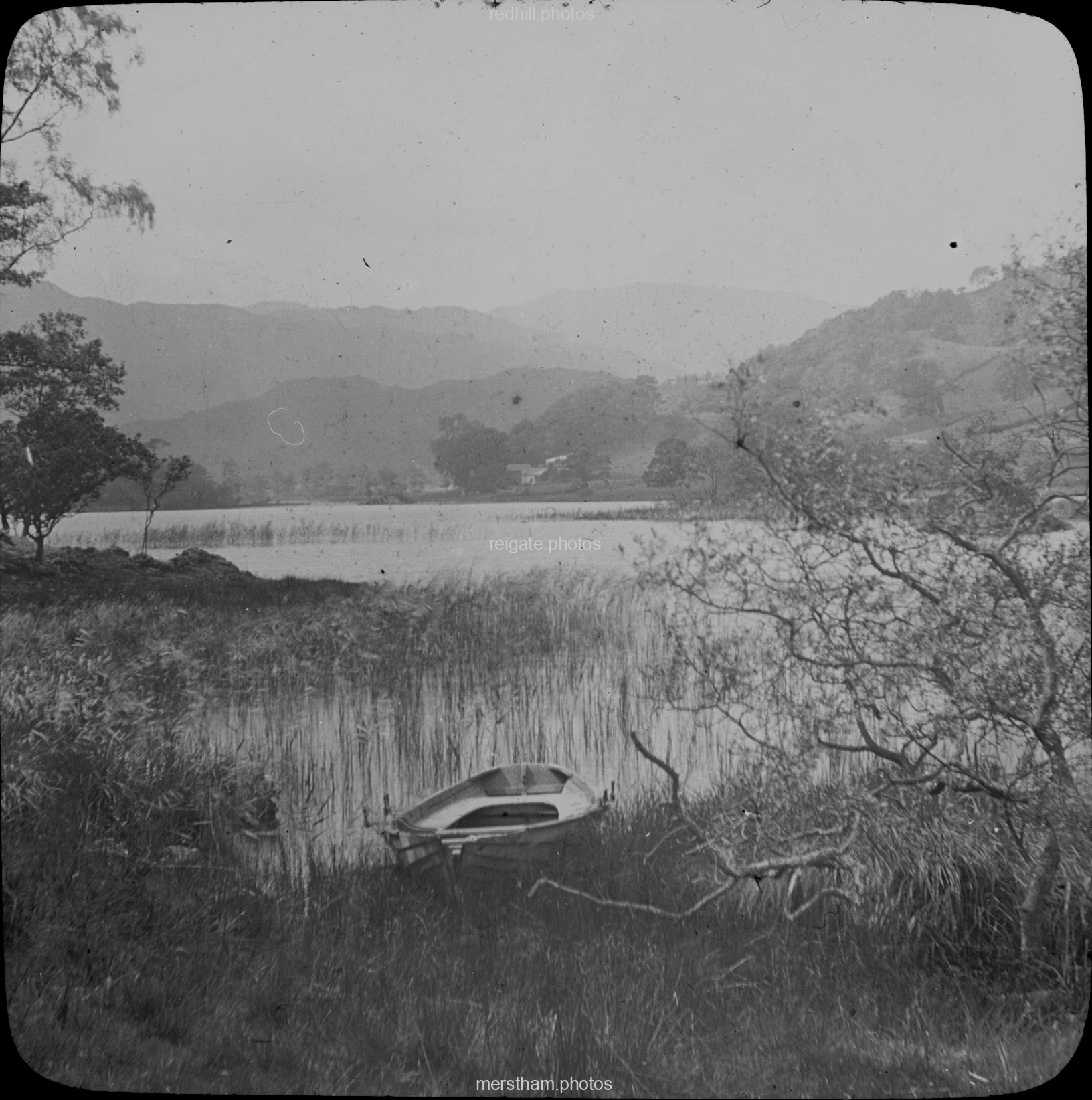 Image number 7728&prevurl=collectionof150photos