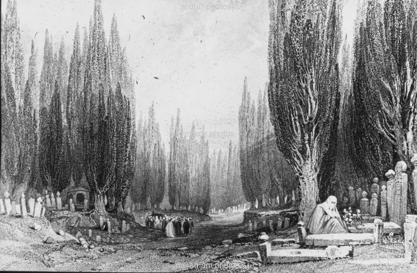 Image number 8157&prevurl=year1888