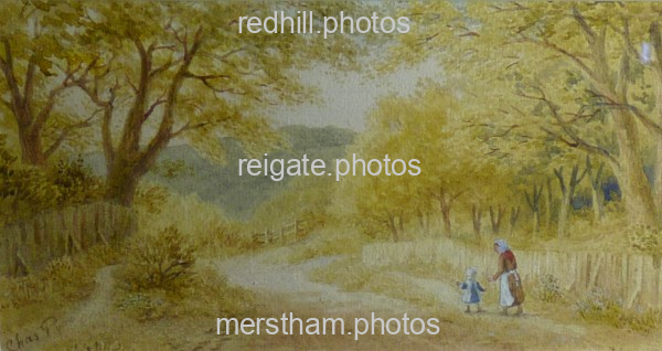 Image number 877&prevurl=chaspyne