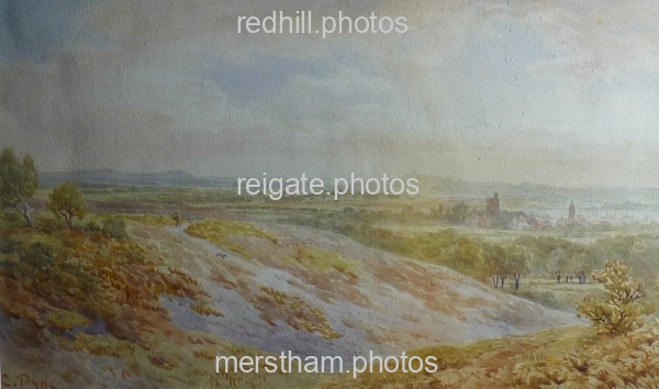 Image number 879&prevurl=chaspyne