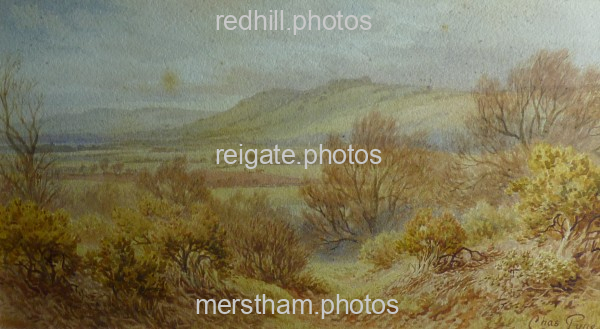 Image number 880&prevurl=chaspyne