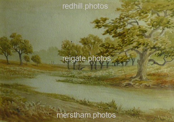 Image number 882&prevurl=chaspyne