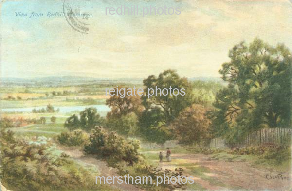 Image number 883&prevurl=chaspyne