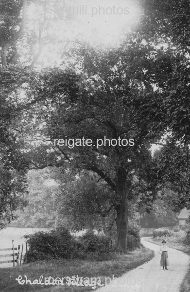 Image number 931&prevurl=churchlanechaldon