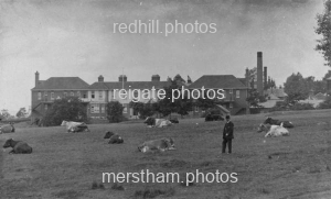 Image number 4